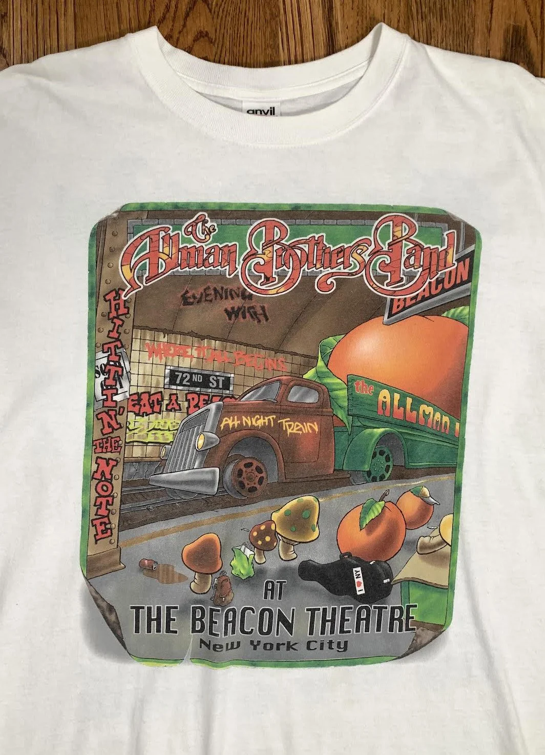 Vintage The Allman Brothers Band Beacon Theater NYC Tour T Shirt